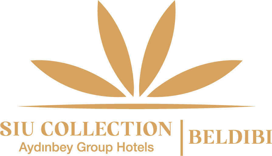Siu Collection Hotel